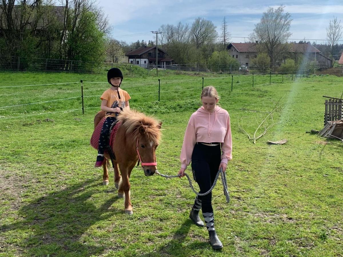 Ferienwohnung Am Ponyhof Altötting Exteriér fotografie
